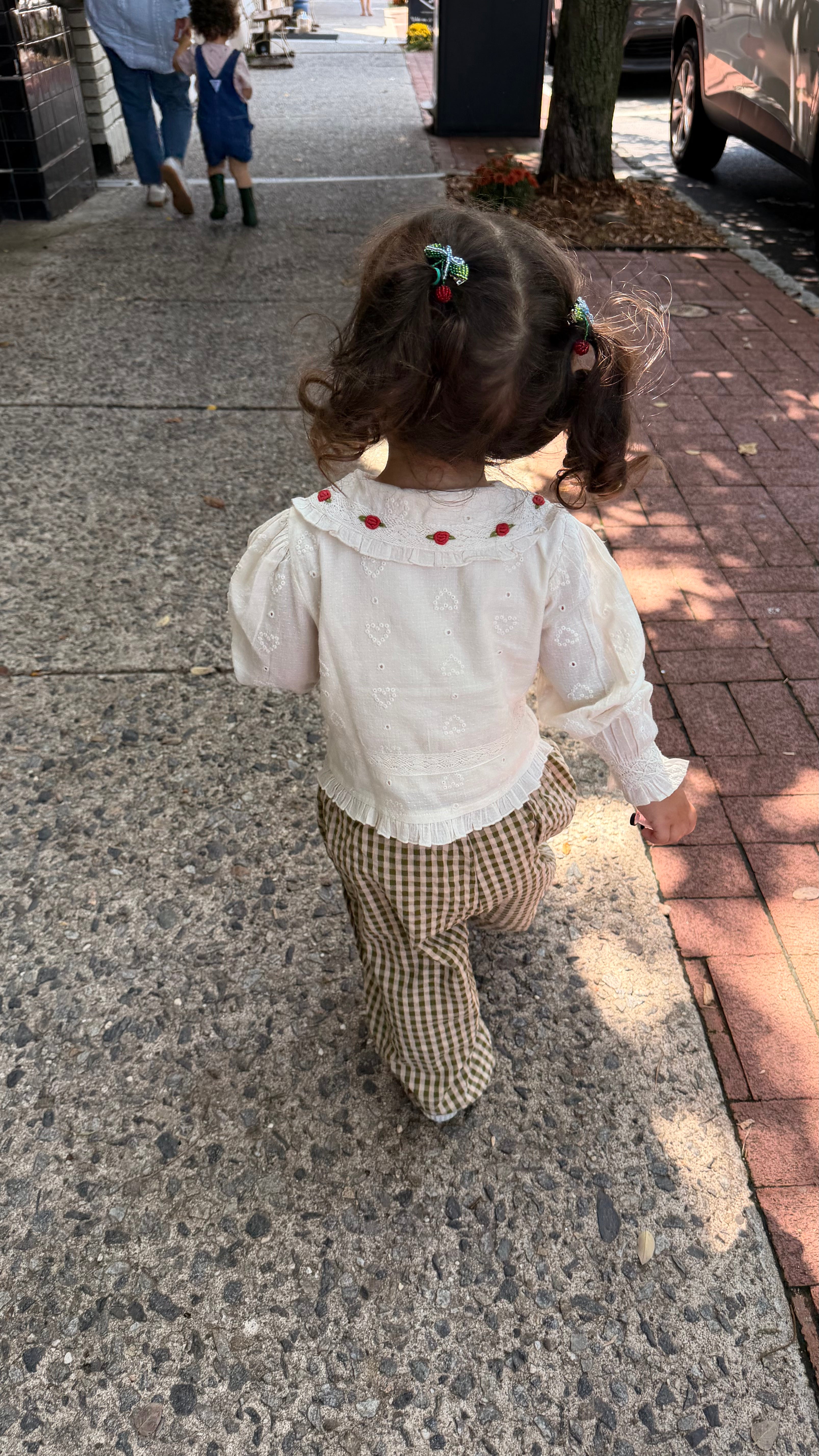 Anita Blouse in Heart Lace