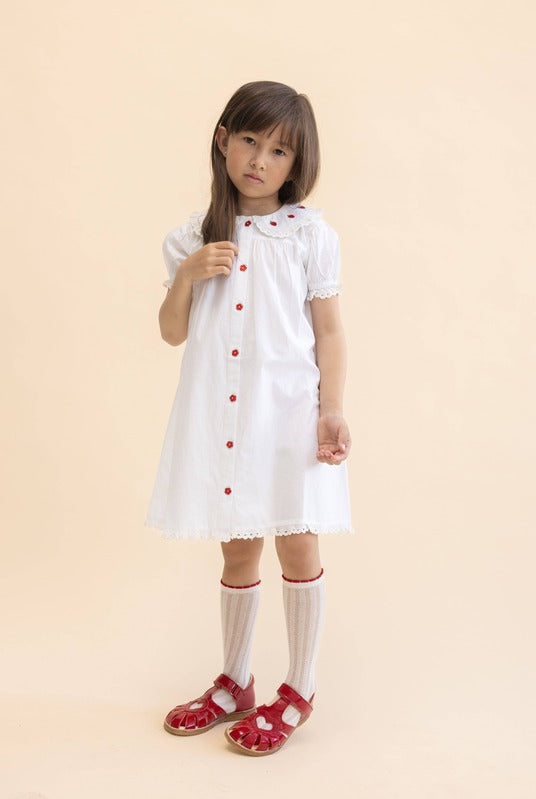 Aja Dress