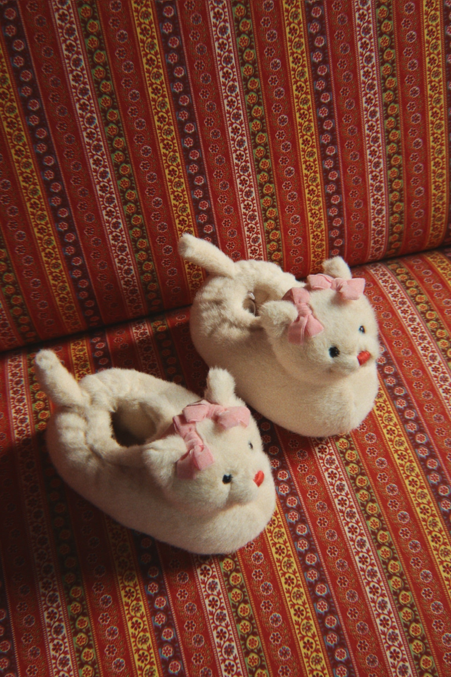Kitten Footies
