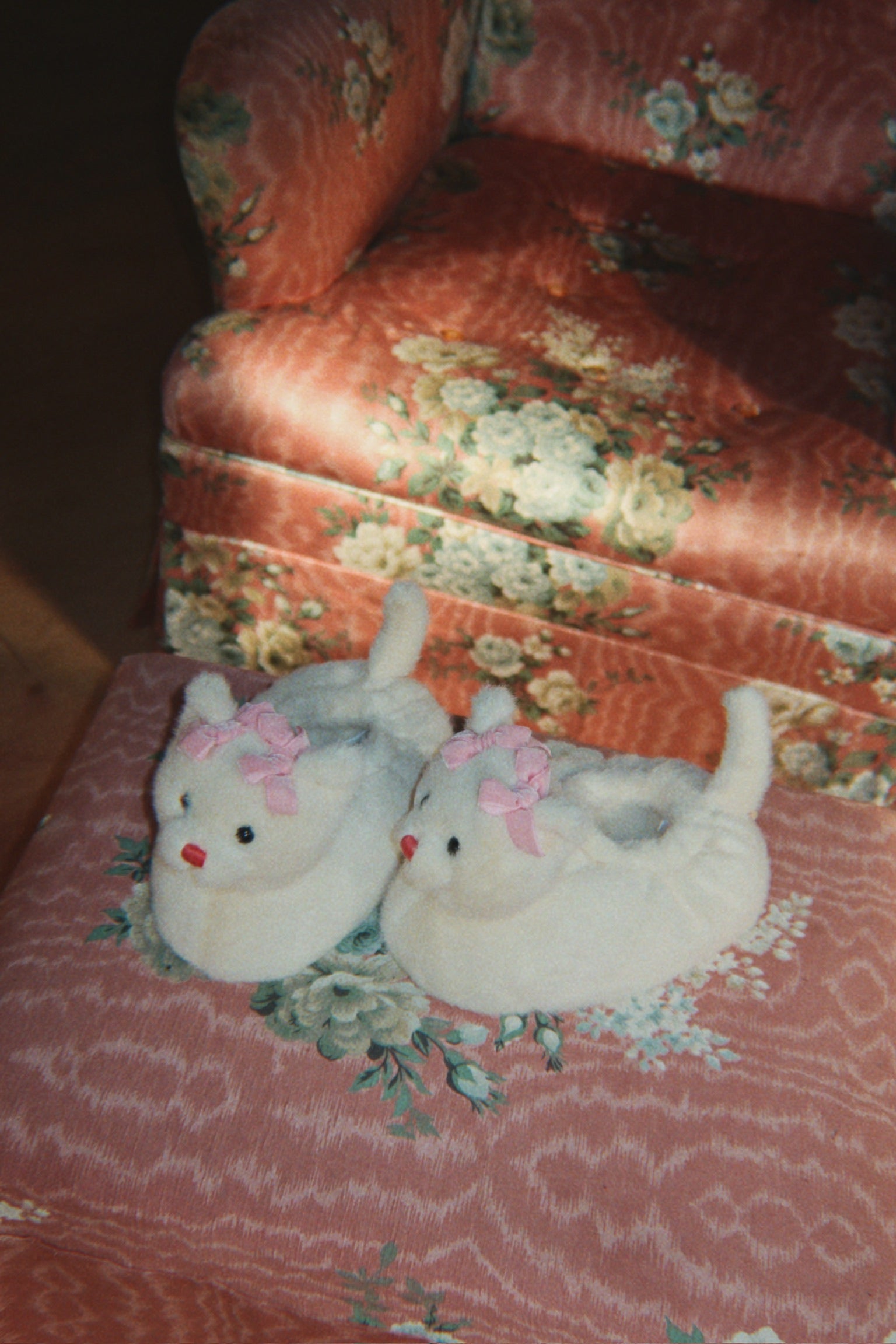Kitten Footies