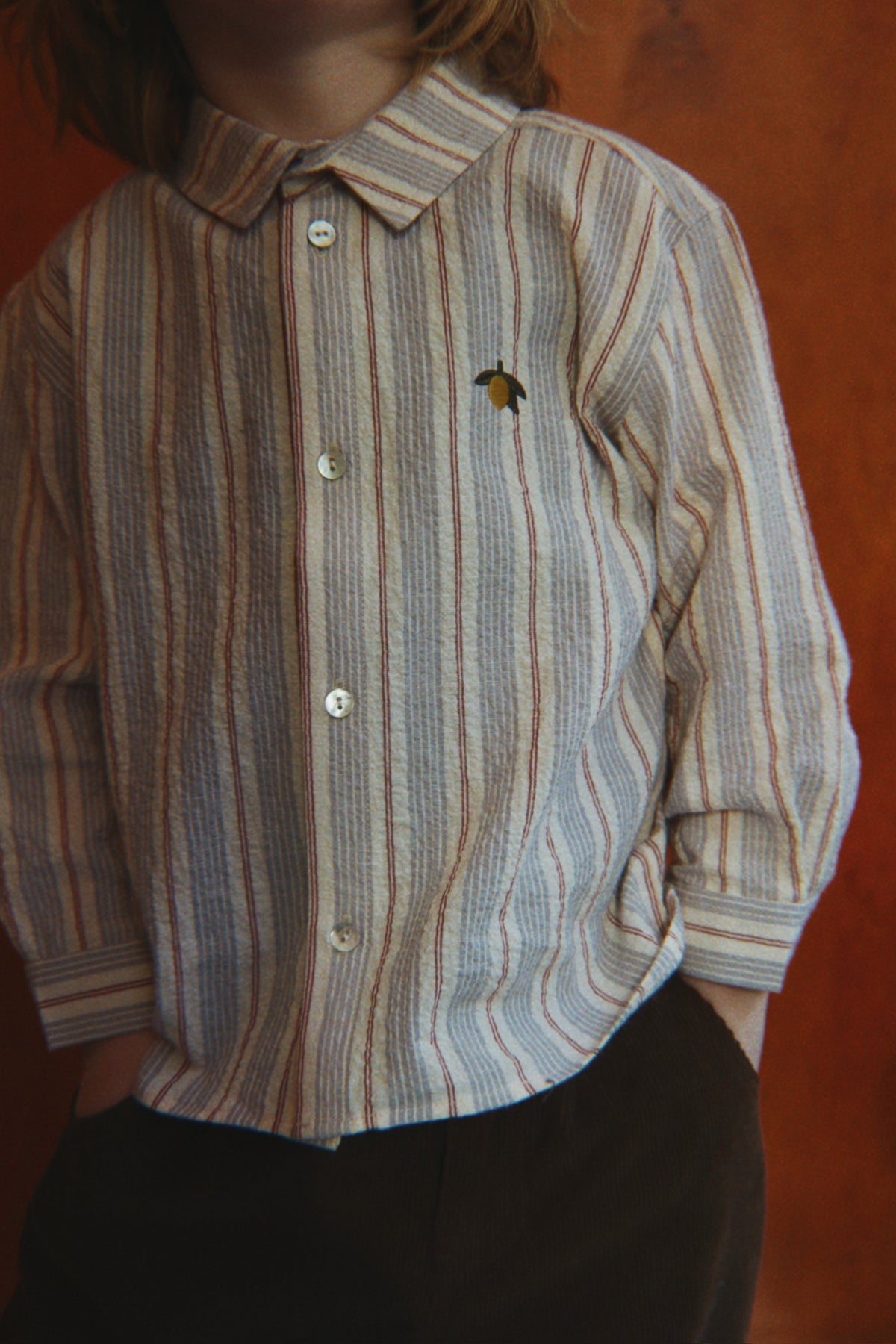 Elliot Long Sleeve Shirt in Tocororo Stripe