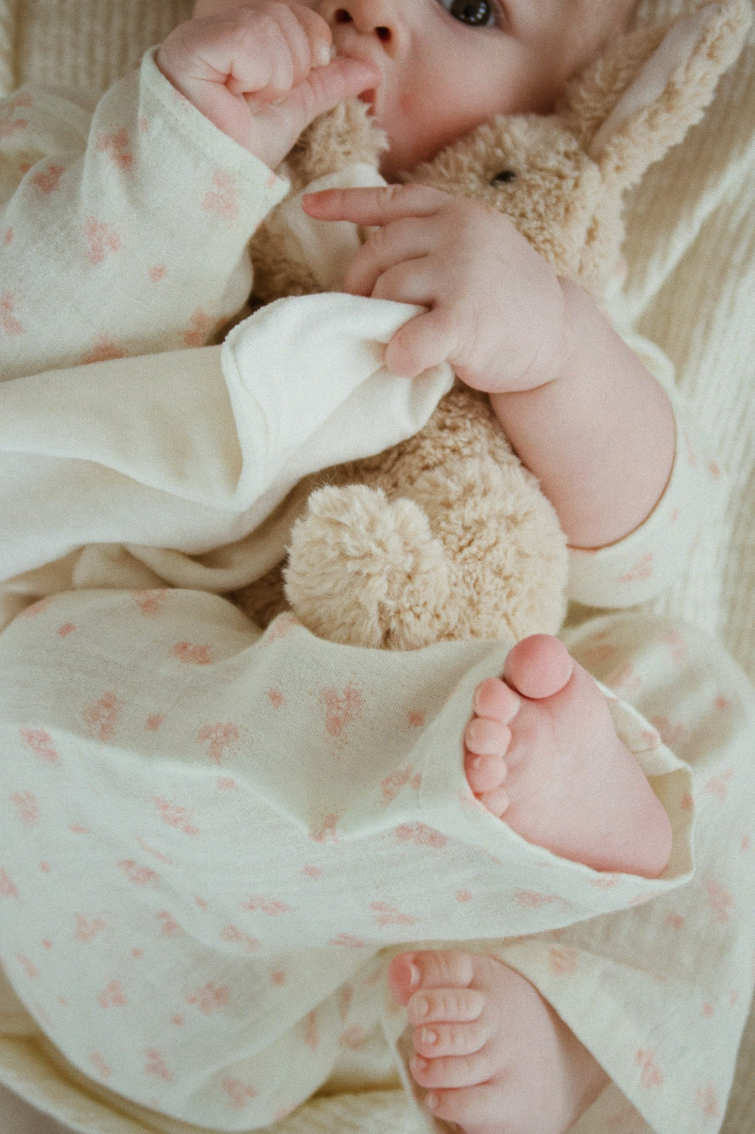 Piccobino Snuggle