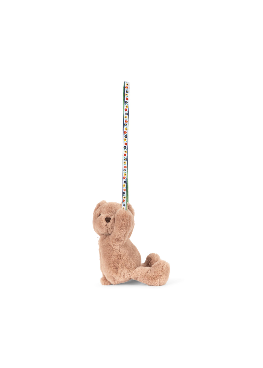Teddy Bag in Teddy Bear