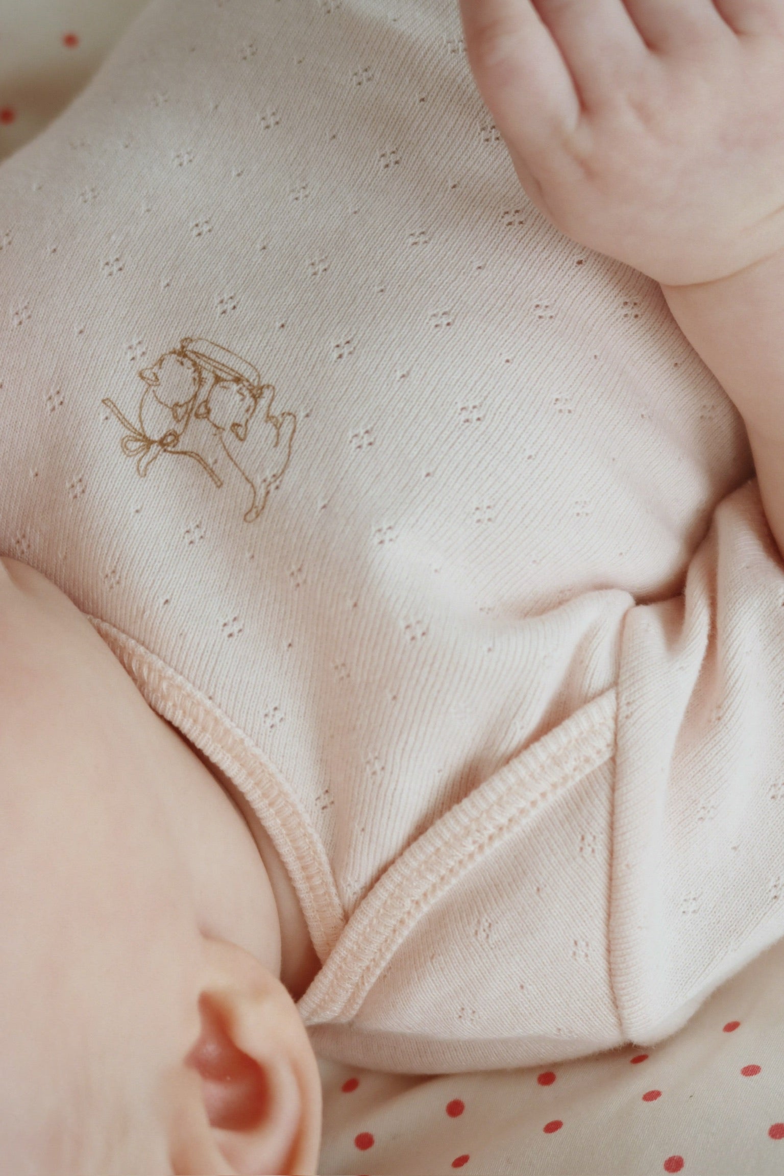 Pearl 2 Pack SS Bodysuit in Cream and Creole Pink