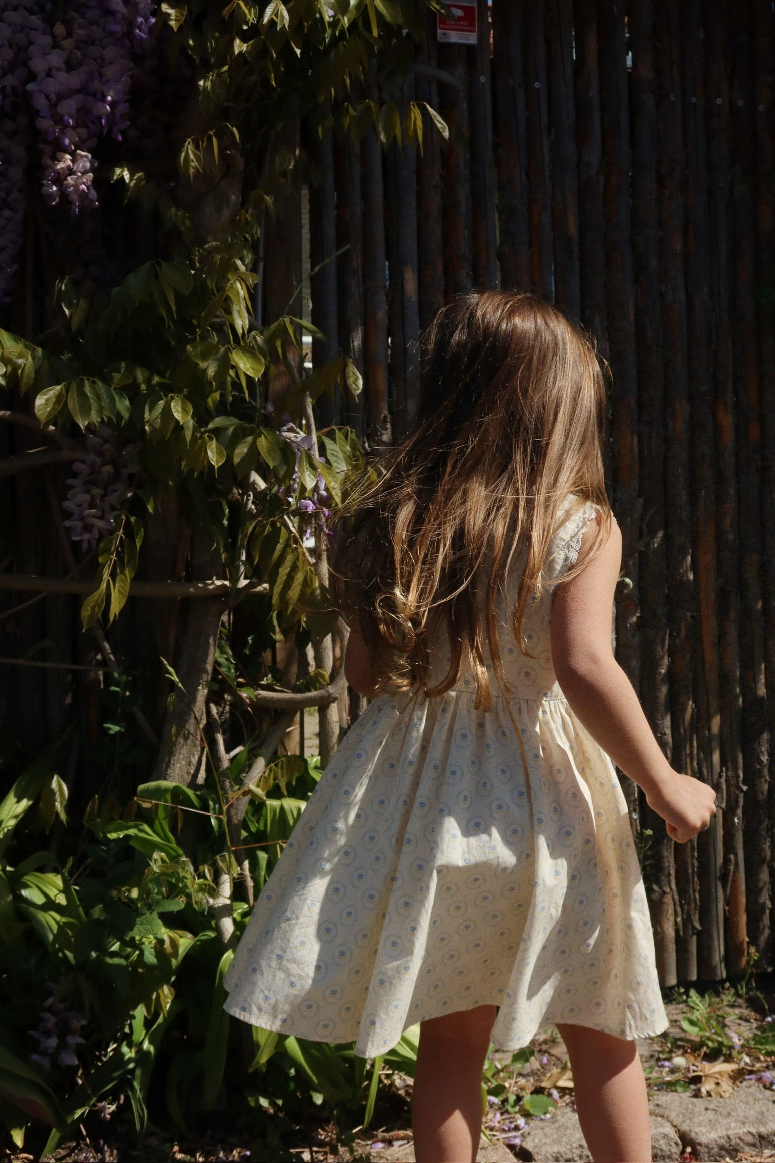 Coeur Lace Dress