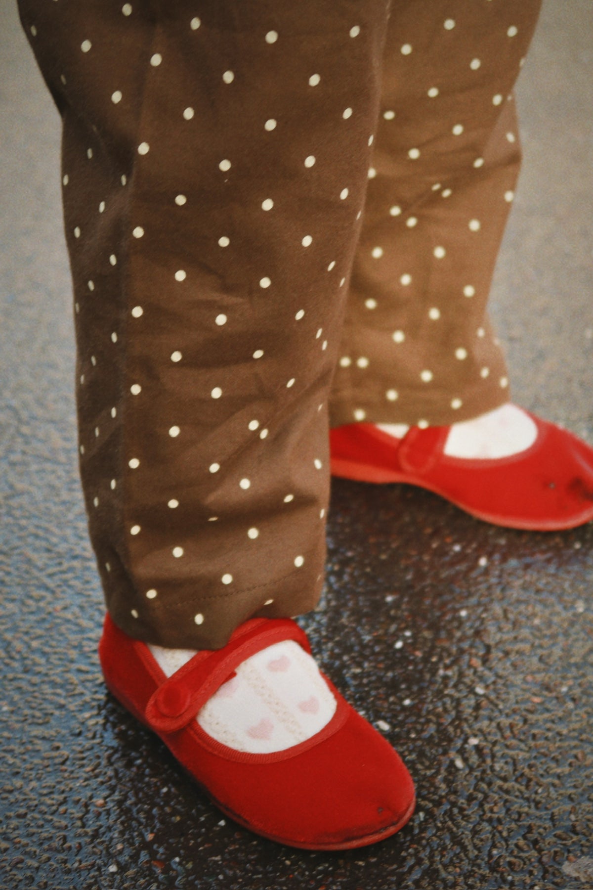 Alfe Pants in Cocoa Dot