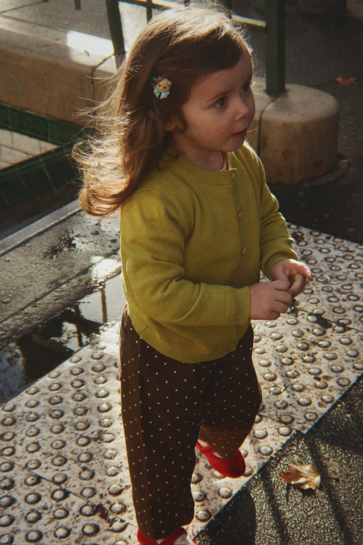 Alfe Pants in Cocoa Dot