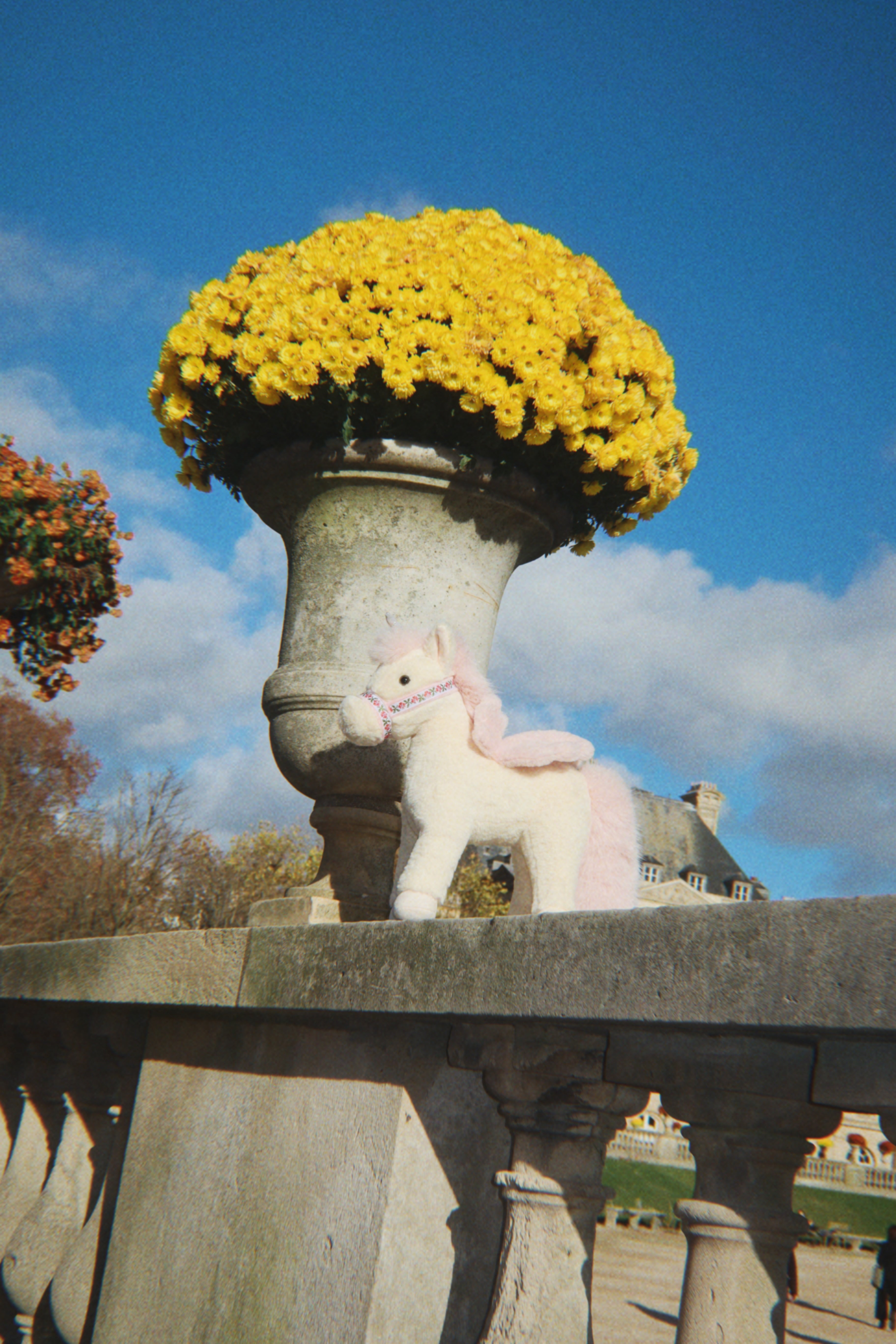 Starlight Unicorn