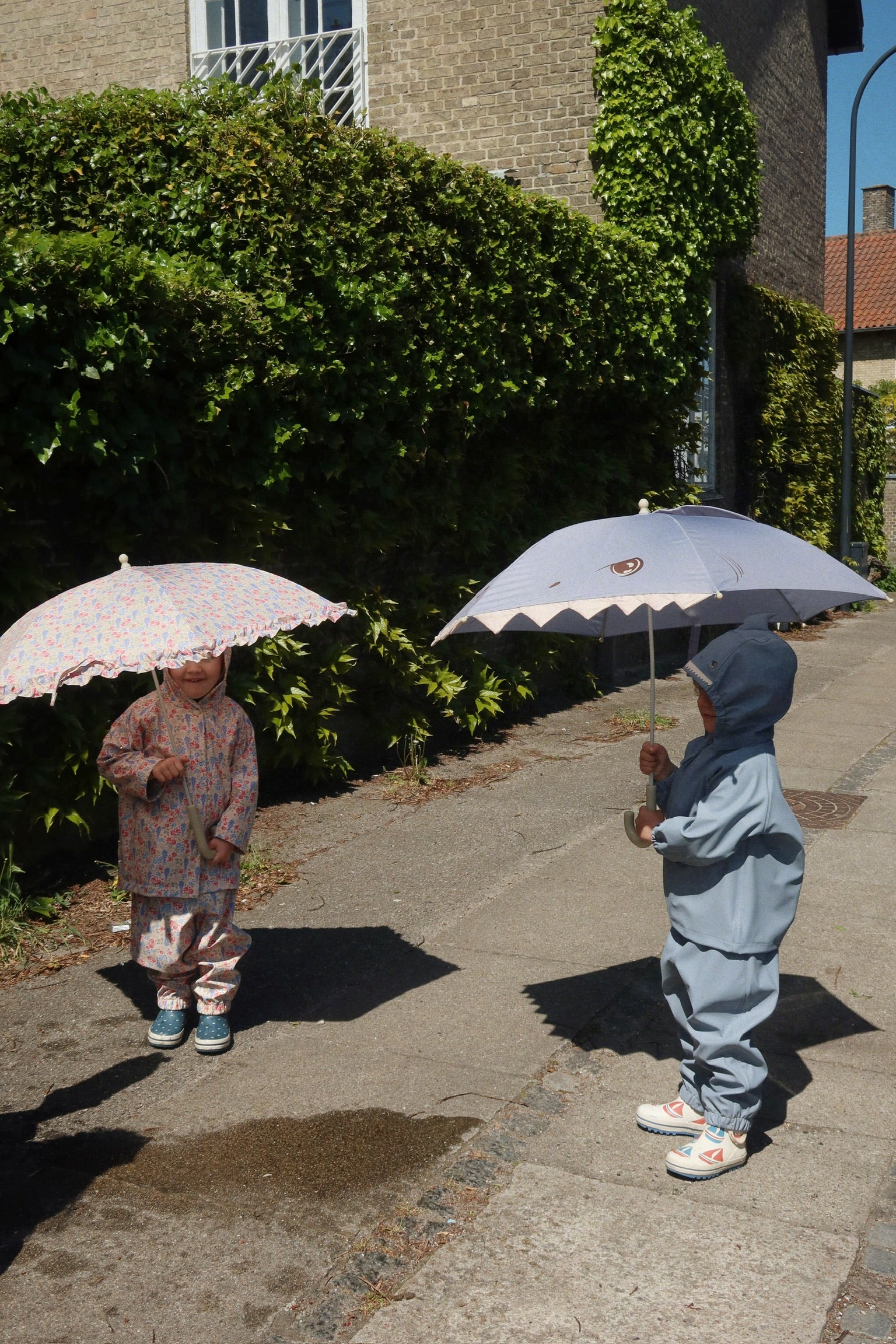 Shark Umbrella
