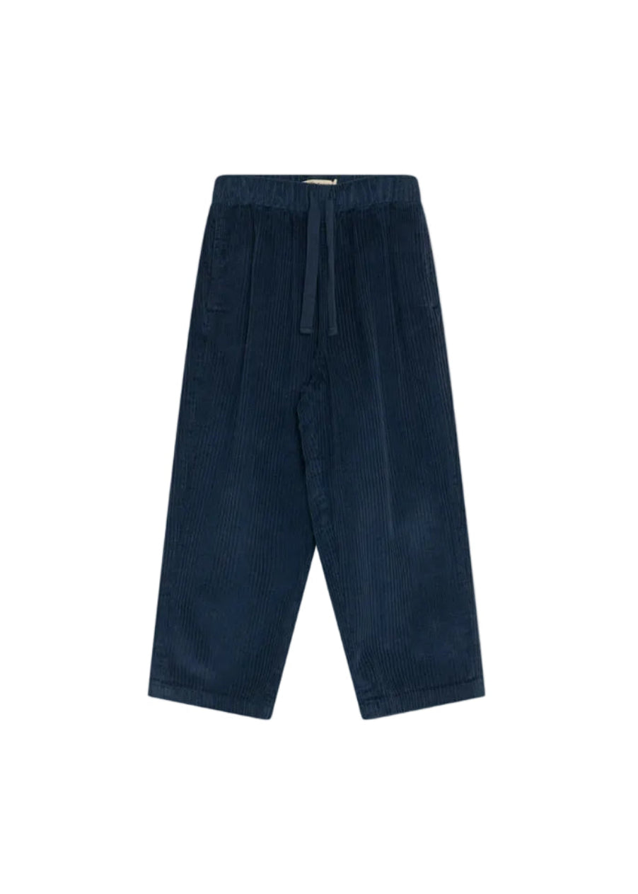 Elio Corduroy Trouser in Black Iris